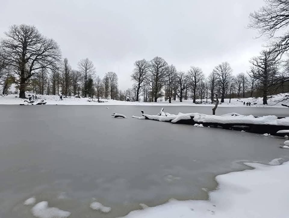 Du haut des forêts de AKFADOU à Bejaia