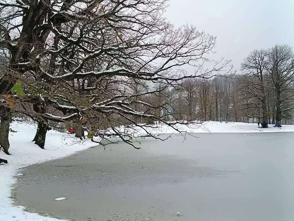 Du haut des forêts de AKFADOU à Bejaia