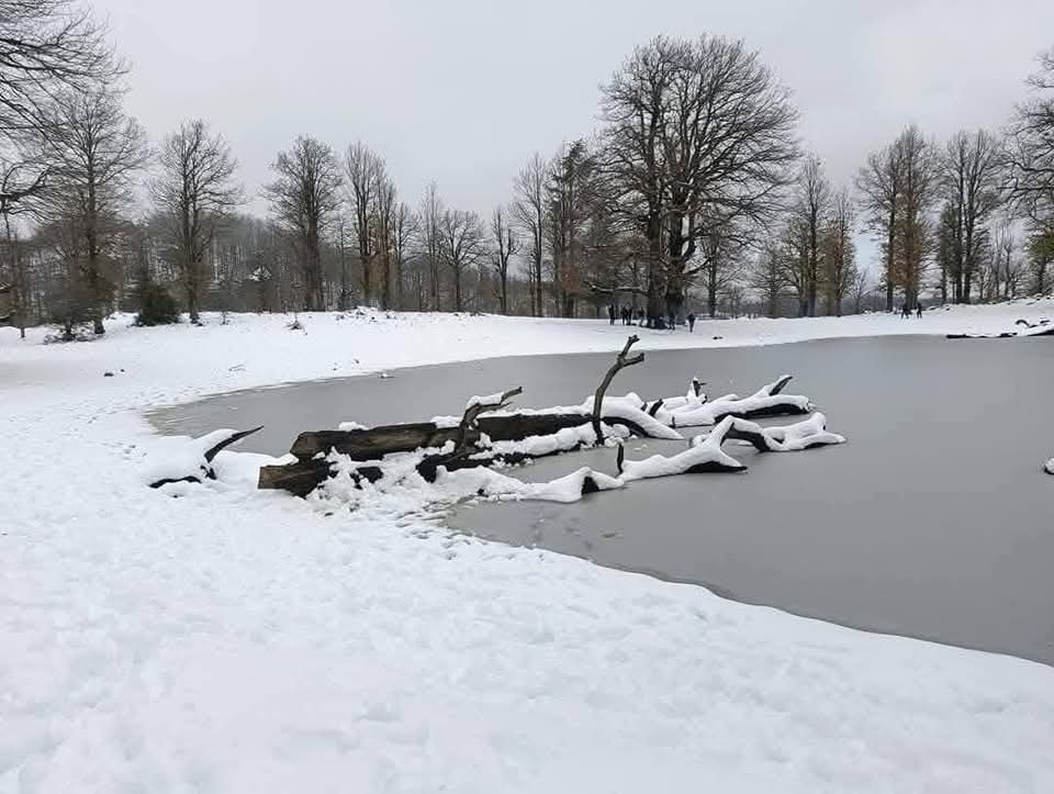 Du haut des forêts de AKFADOU à Bejaia