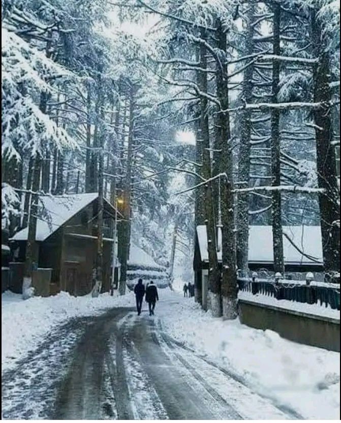 Parc National de Chréa