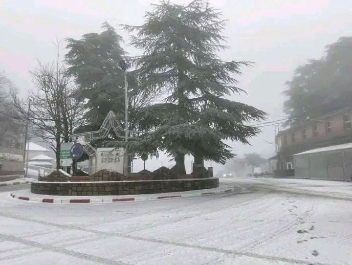 Parc National de Chréa