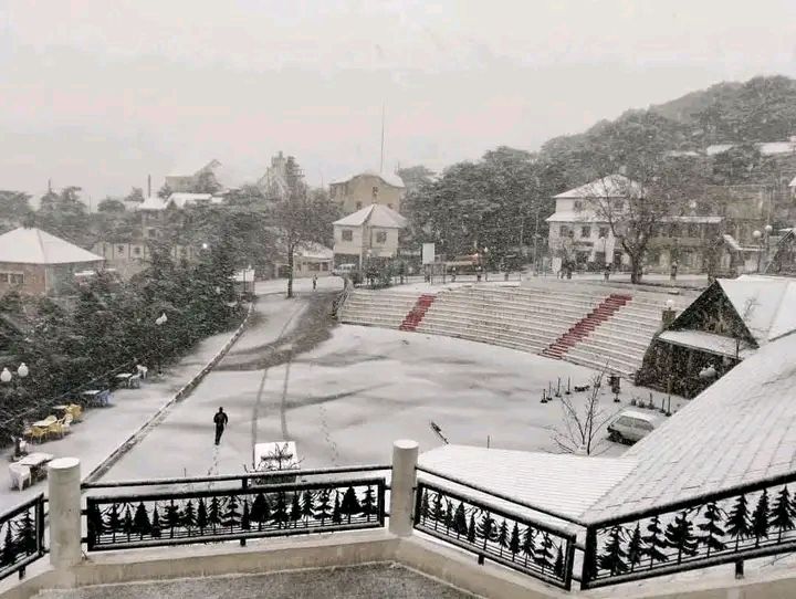 Parc National de Chréa