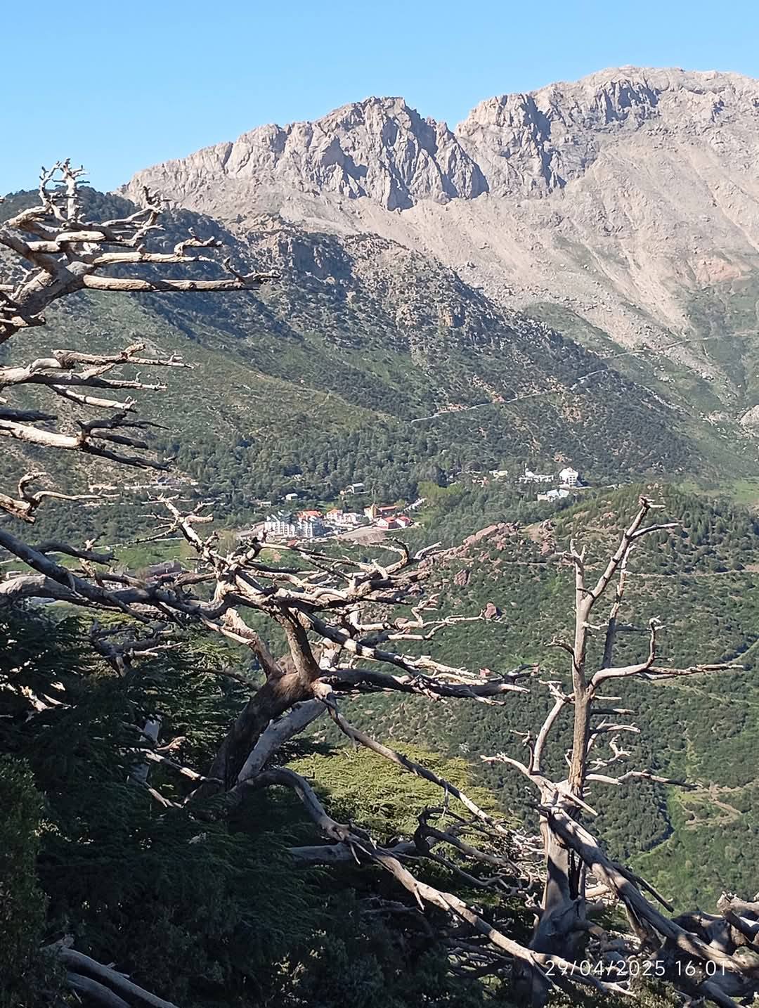 LA MONTAGNE DU DJURDJURA