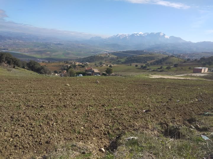 FRIKAT vue de Tachentirt Draa El Mizan