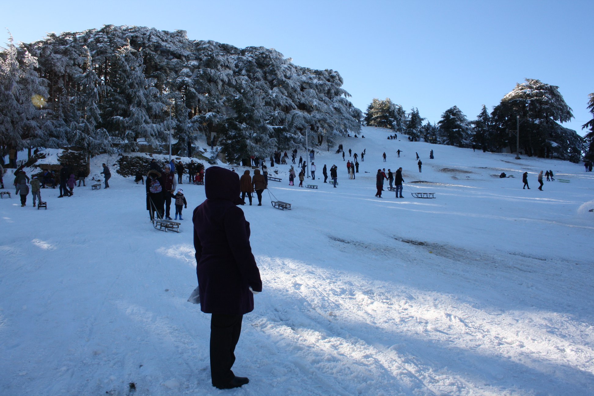 LA STATION DE SKI CHREA _BLIDA