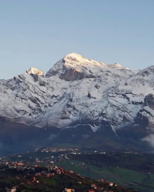 Tableau vivant où la rudesse de la roche rencontre la douceur de l'olivier.