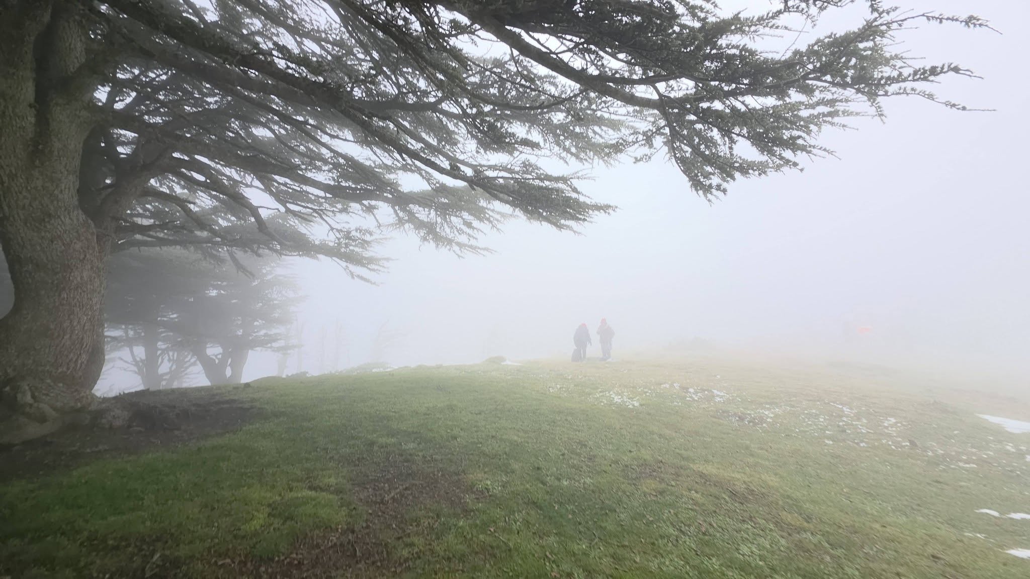Randonnée groupe tarwa n wedrar les amis du Dr Mohand Messaoudene