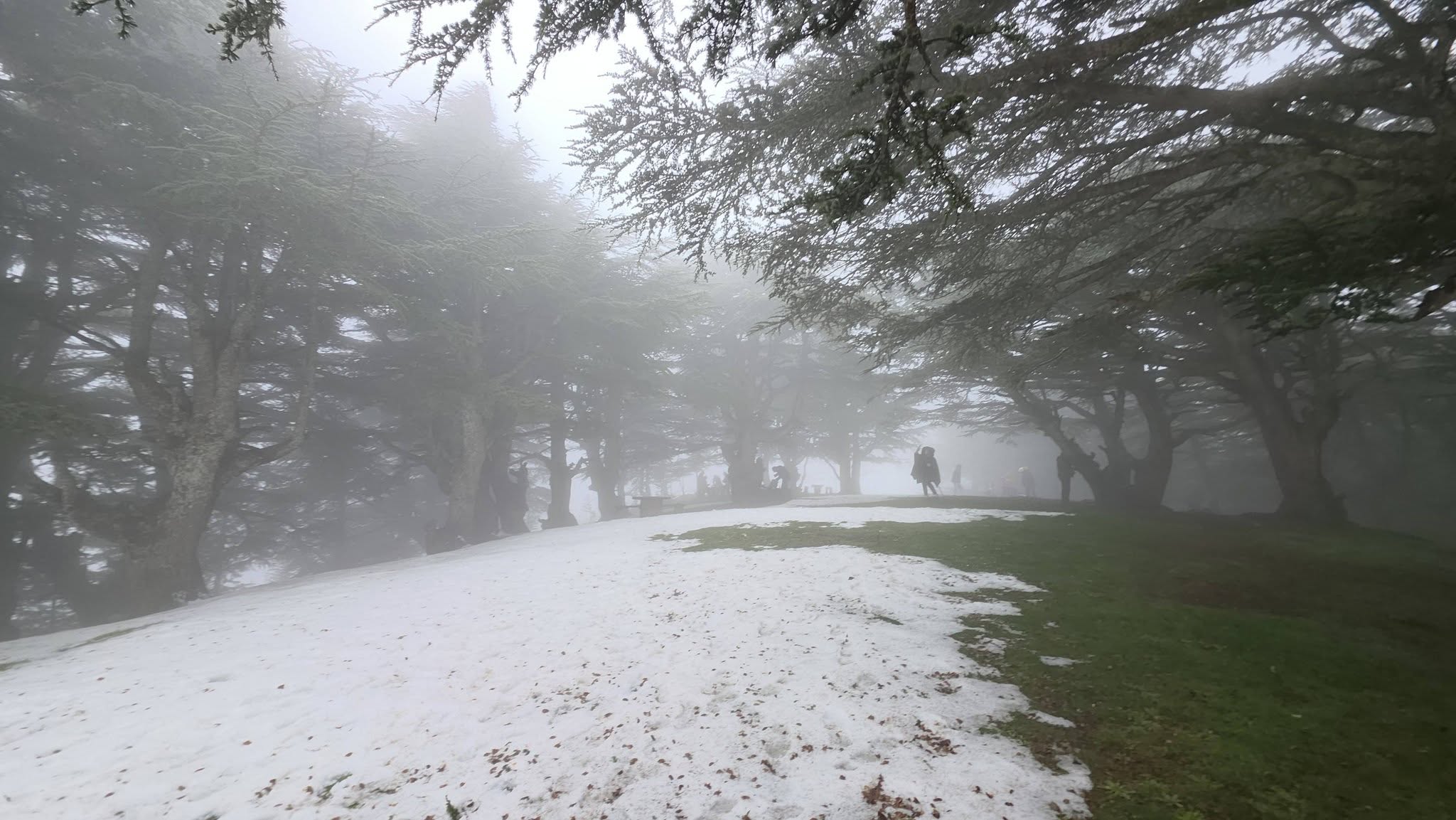 Randonnée groupe tarwa n wedrar les amis du Dr Mohand Messaoudene