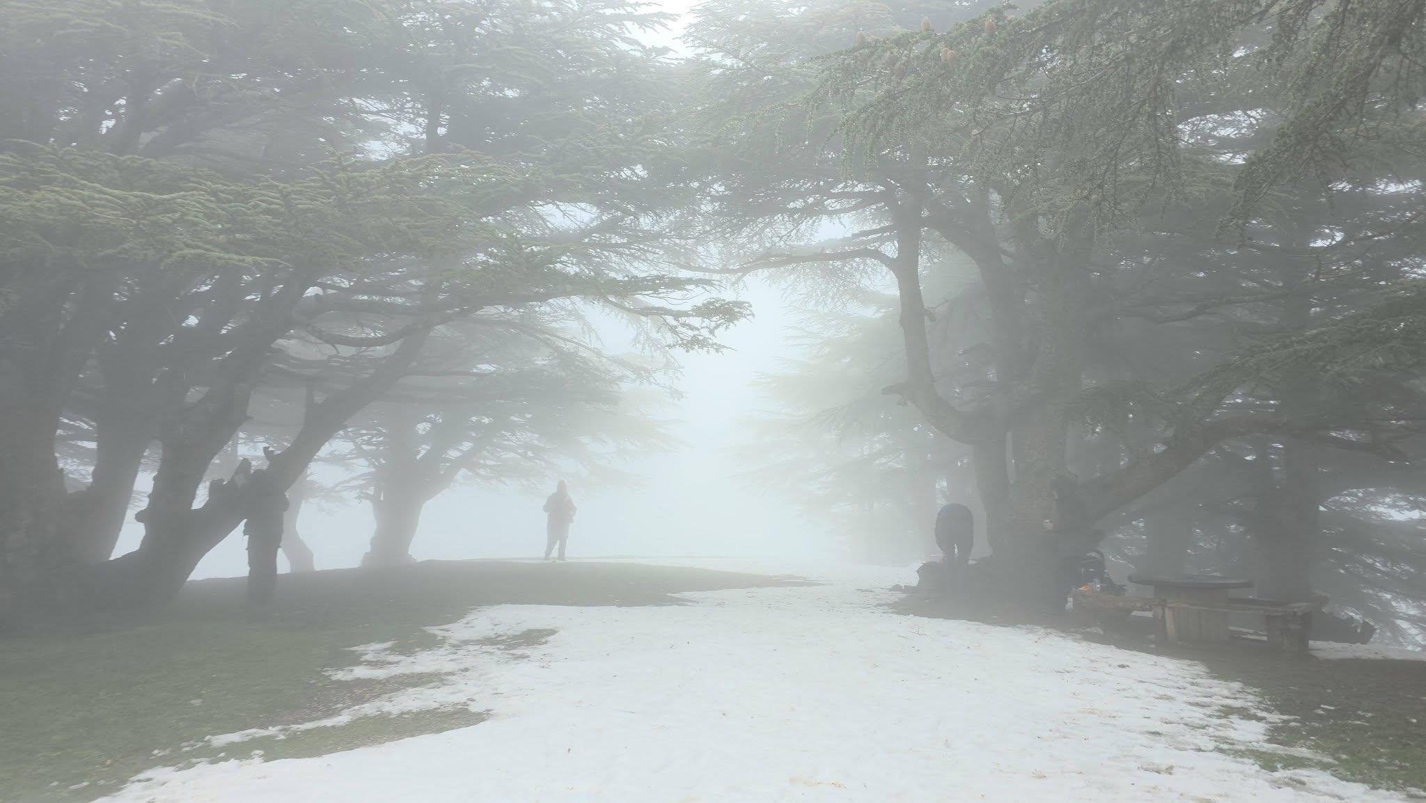 Randonnée groupe tarwa n wedrar les amis du Dr Mohand Messaoudene