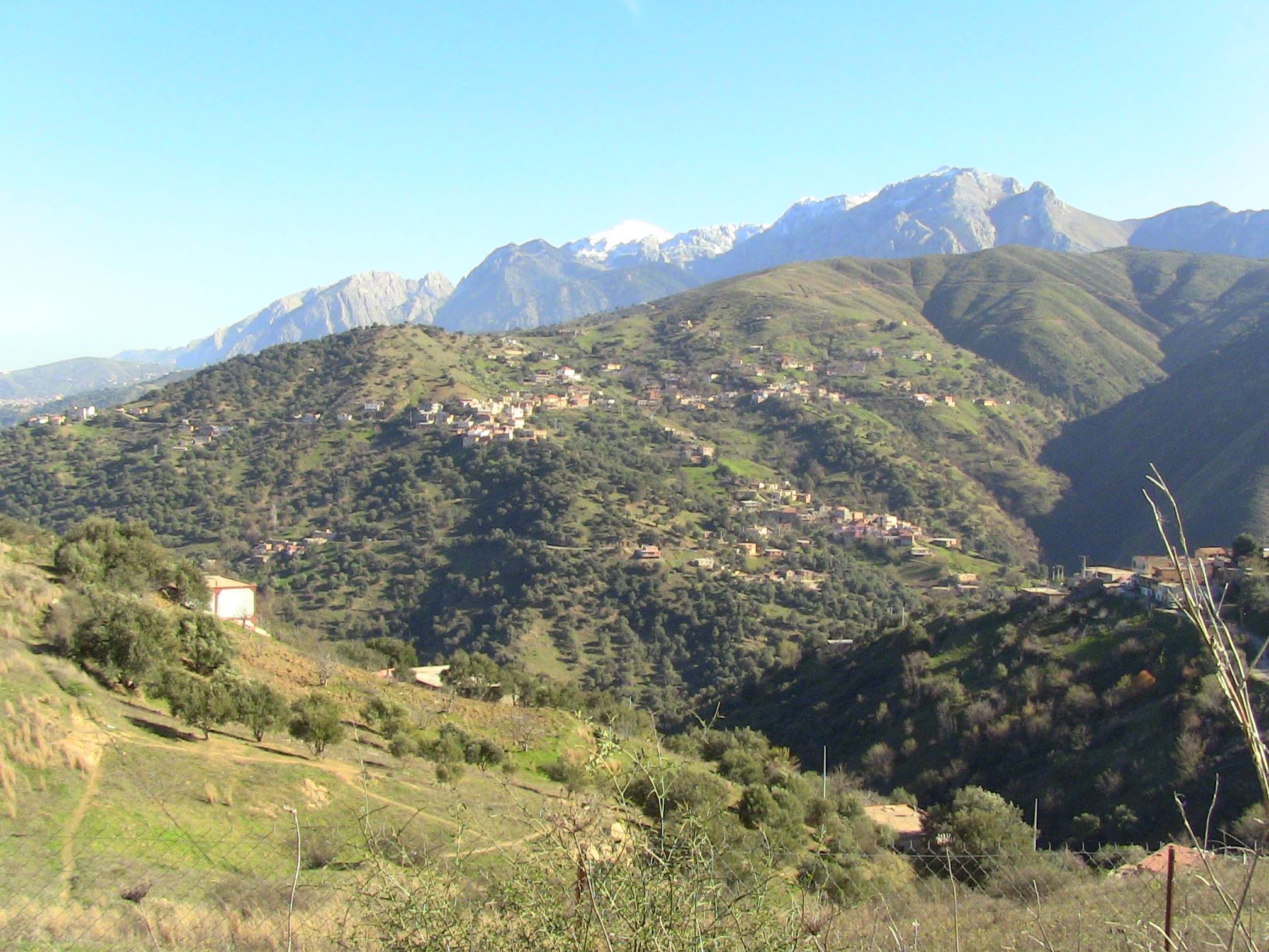 Le village d'Ikaânanen (ou Ikaounanen)  commune de Bounouh, située dans la daïra de Boghni, au sud de la wilaya de Tizi Ouzou.