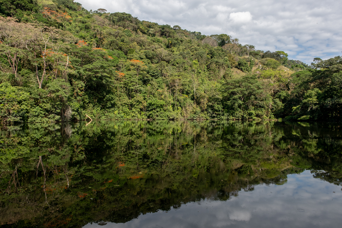 Planète (Amérique du Sud) - En Colombie, la longue lutte d’un village contre l’industrie pétrolière: 