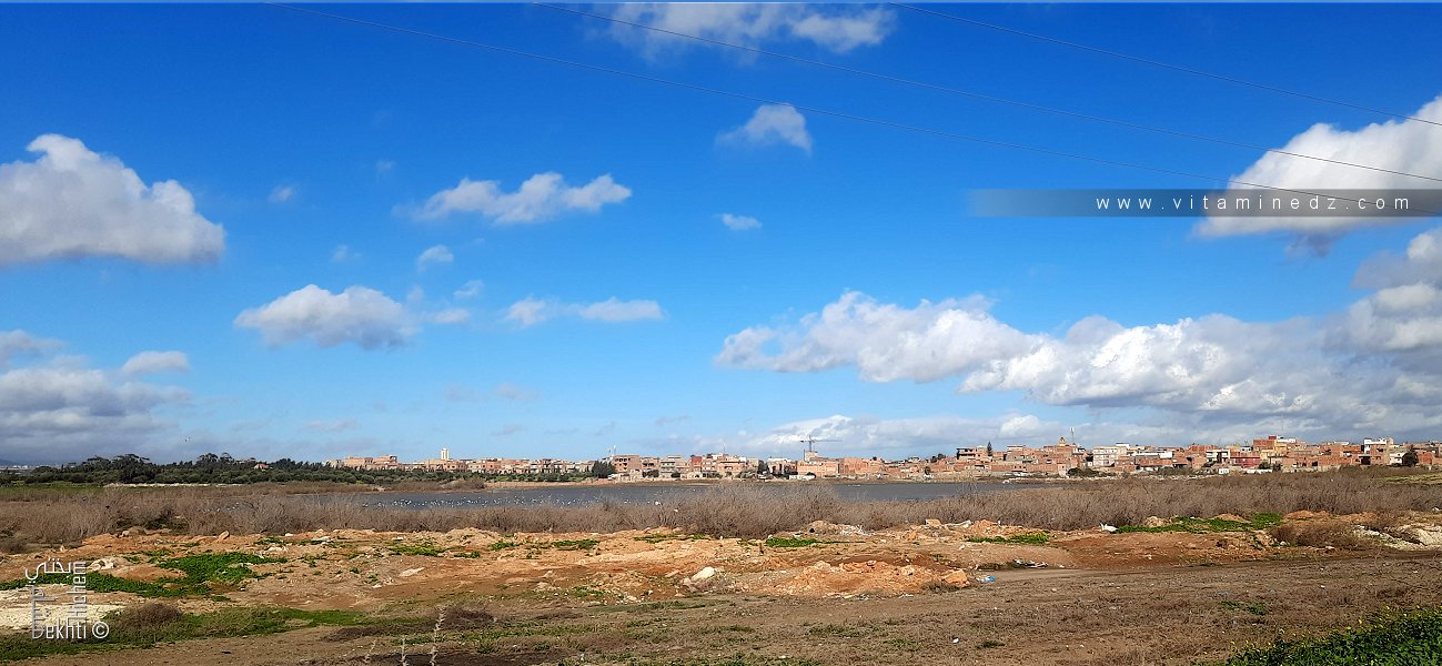 Le Lac Sidi Chahmi est une zone humide située près d'Oran, en Algérie.