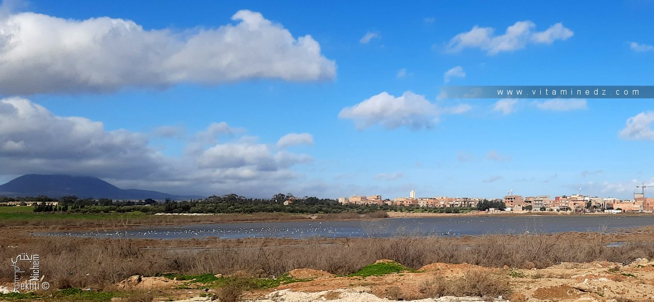 بحيرة سيدي الشحمي الواقعة في ولاية وهران بالجزائر.