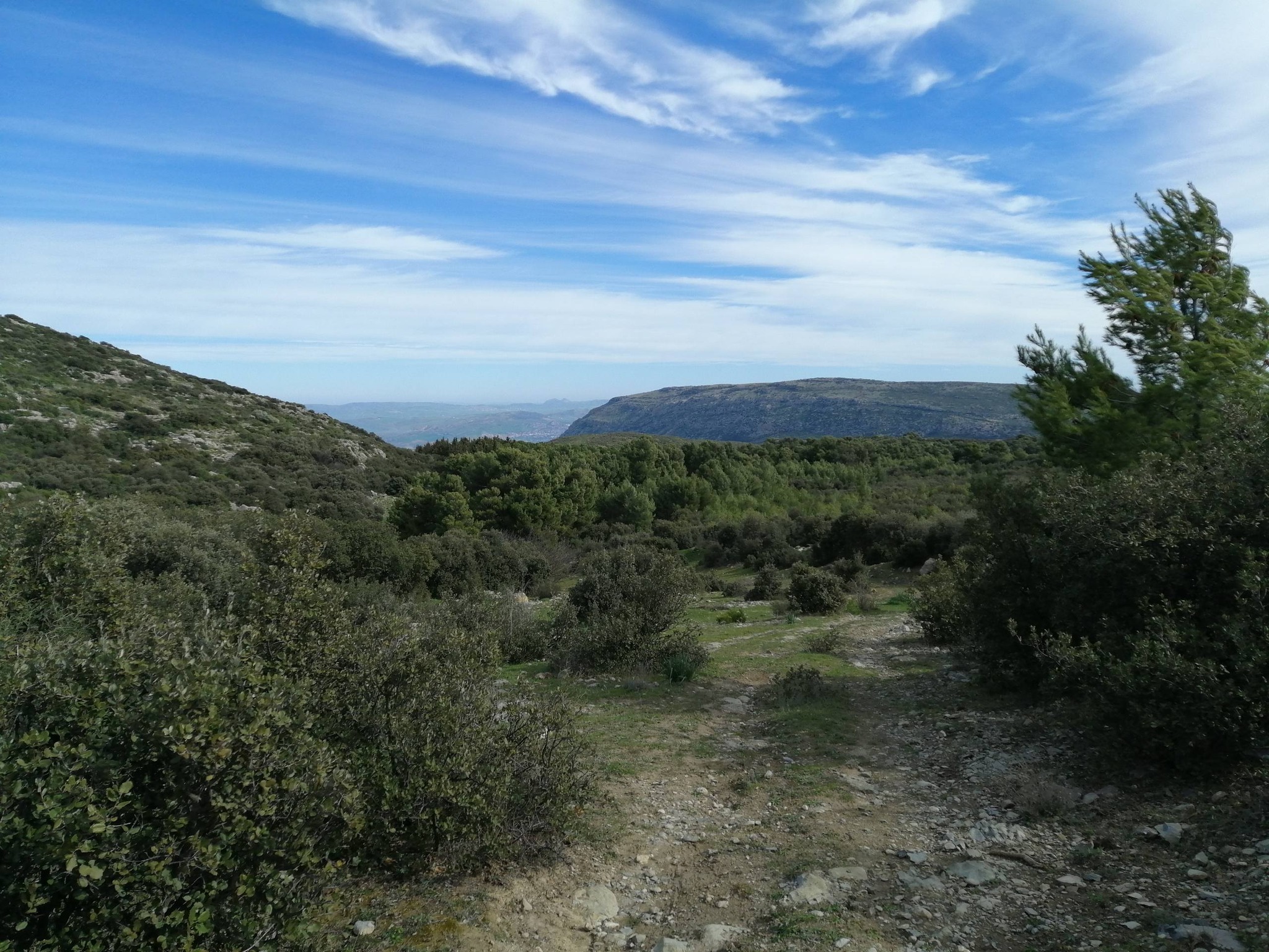 Planète - Une crise environnementale et humaine:  Une ère de dégradation et l'homme voit ailleurs !