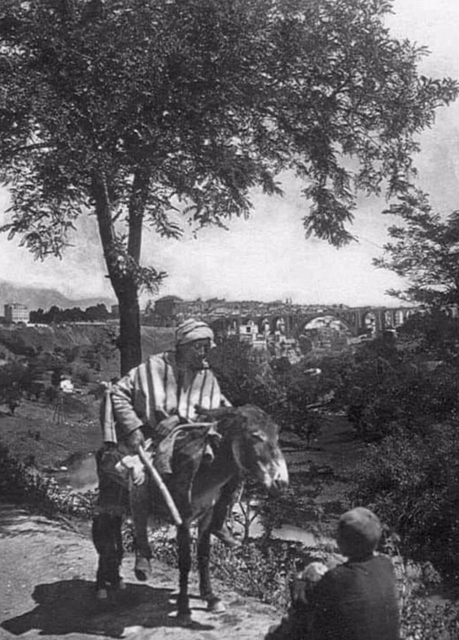 Entre terre et pierre : paysan constantinois au regard du Pont Sidi Rached
