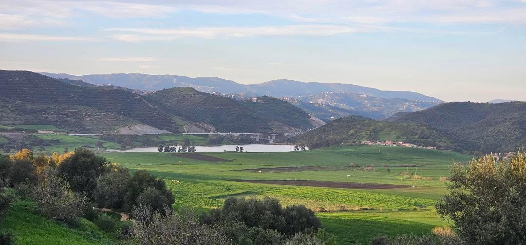 Barrage de Draa El Mizan