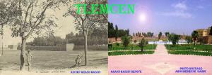 TLEMCEN-----GRAND BASSIN----