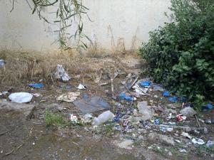 Zbel et détritus au CHU de Tlemcen