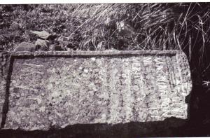 Traces du ''Limes'' des Romains