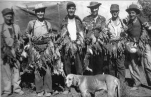 جشع المعمرين في الجزائر