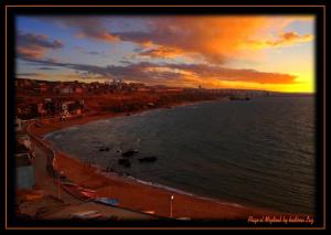El Mejdoub Dominant la ville de Mostaganem