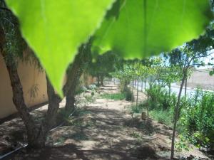 jardin bénévole de l'hôpital