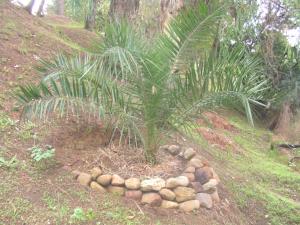 La murette en pierres sèches, élément de décoration dans un jardin