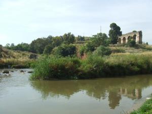 Vestiges de l'aqueduc Romain de Constantine