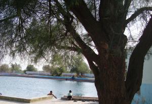 Le lac de Ain Skhouna