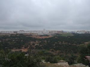 Un parc urbain pour la nouvelle ville Ali Mendjelli