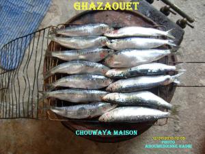 GHAZAOUET---CHOUWAYA MAISON----