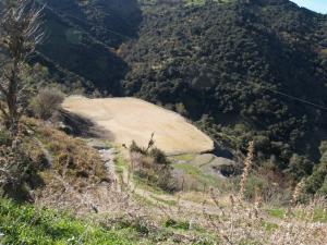 Avis de recherche d'un stade et d'un ballon disparus dans la foret