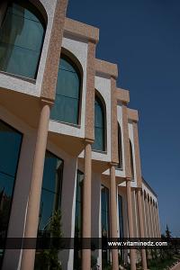 القصر الثقافي