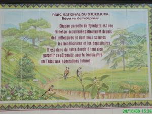 Parc national du Djurdjura : Réserve de la biosphère