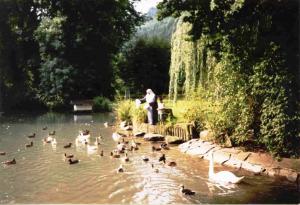 landshaft in deutshland