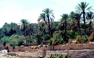 تعرف على مدينة السعادة بوابة الصحراء بوسعادة