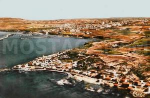 La Salamandre d'Antan