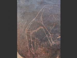 Gravure préhistorique à tin tarabine-رسومات ما قبل التاريخ في تن تارابين