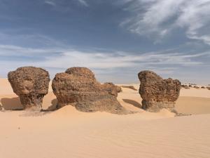 Comme des champiogons- كالفطريات