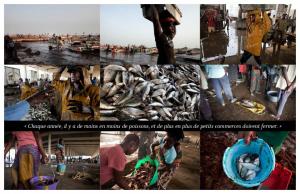 SOS OCEANS : Cette Afrique qui nourrit l'Europe (suite et fin)