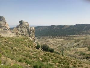 djebel chelia (aurès)