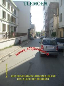 TLEMCEN--RUE SEDJELMASSI ABDERRAHMANE--EX. ALLEE DES MURIERS--