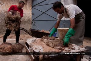 Tannerie d'Agadir