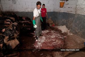 Tannerie d'Agadir