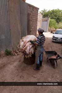 Tannerie d'Agadir