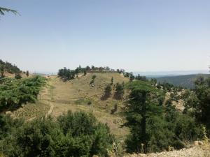 djebel chelia (aurès)