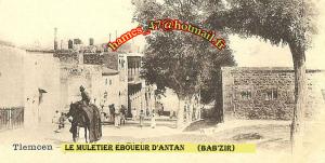 TLEMCEN---LE MULETIER EBOUEUR D'ANTAN---