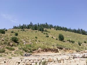 djebel chelia (aurès)