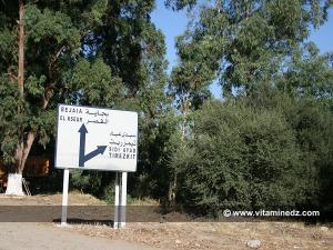 En direction de Sidi Ayed et Timezrit