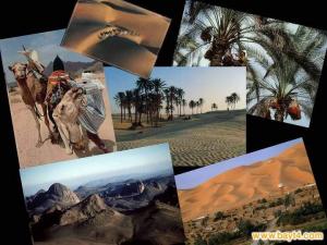 تمنراست جوهرة وسحر